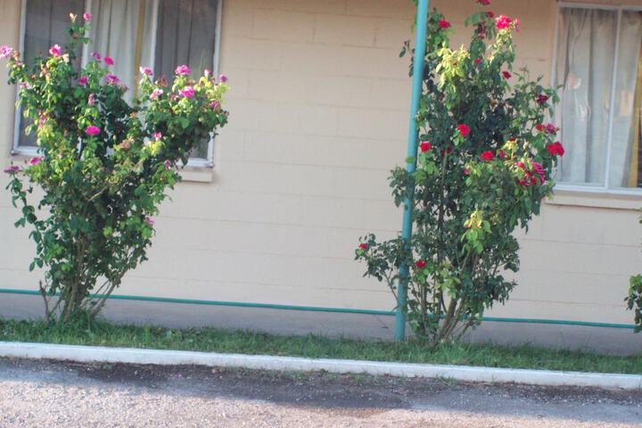 Property Grounds 38 of 40