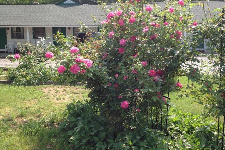Property Grounds 29 of 37