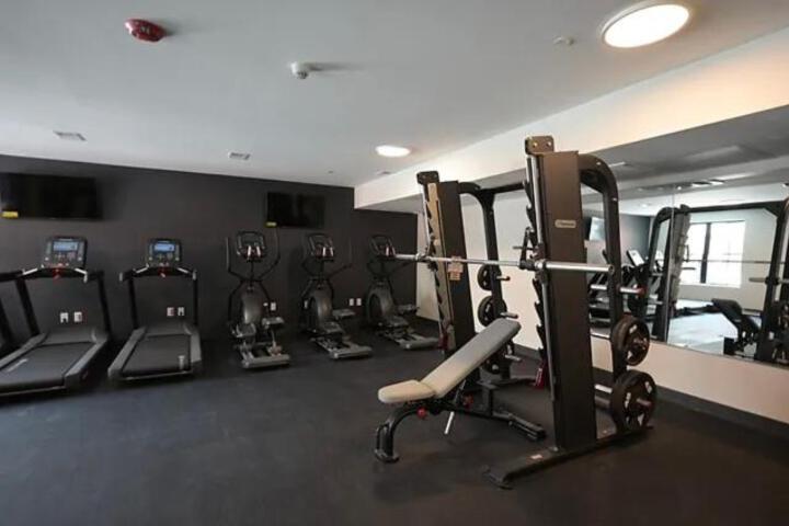 Opulence in Olive with Free Parking 2 BR 2 baths Suite, 5 beds and Sleeps 8