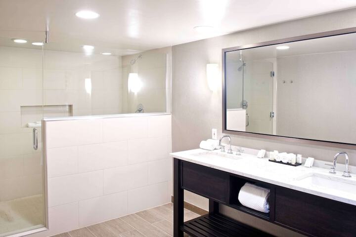 Embassy Suites by Hilton Detroit Livonia Novi