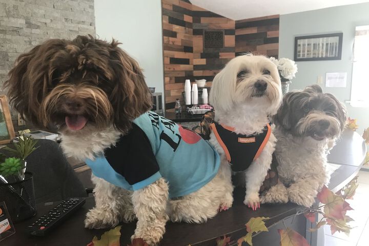 Pet Friendly 100 of 105