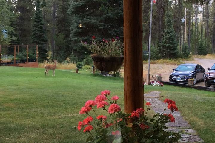 Property Grounds 57 of 58
