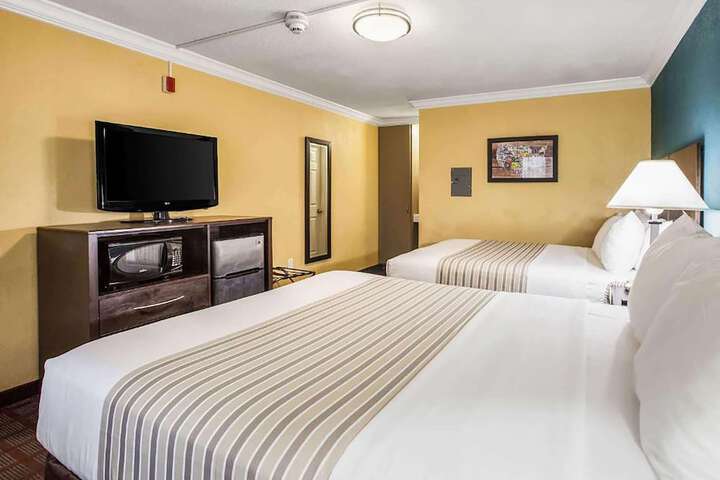 Room 15 of 19