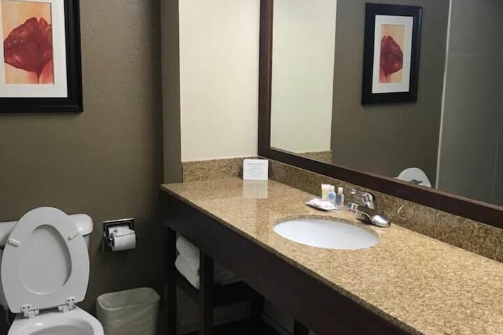 Comfort Suites Northside Hospital Gwinnett
