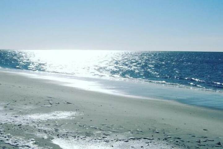Beach 74 of 77