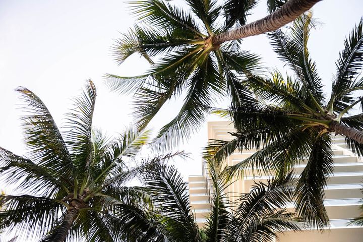 W South Beach