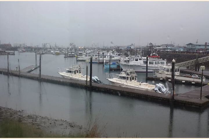 Islander Westport