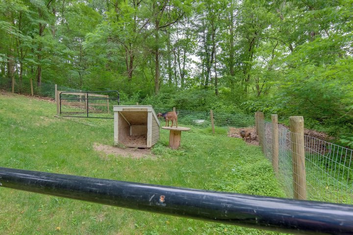 Charming Manheim Cottage w / On-site Animal Viewing
