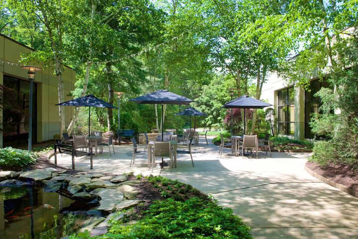Terrace/Patio 57 of 60