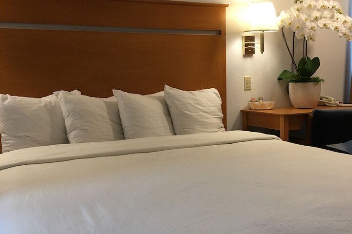 Room 42 of 47