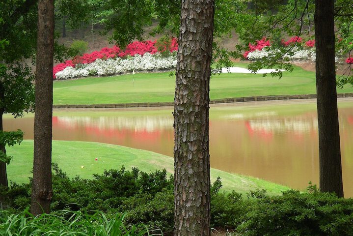 Golf 33 of 37