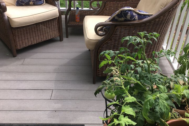 Sundeck 38 of 39