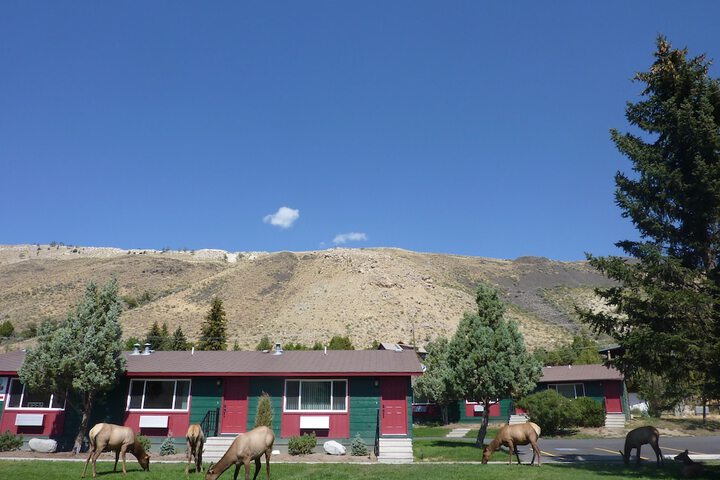 Yellowstone Gateway Inn