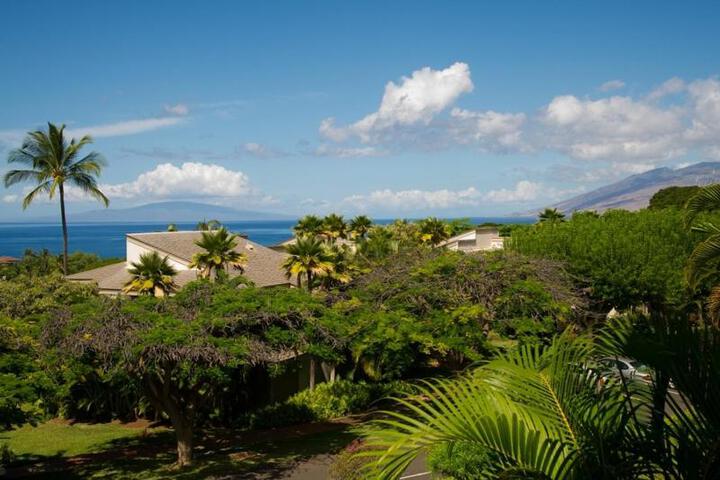 Wailea Sunset Condo - Ekolu #607