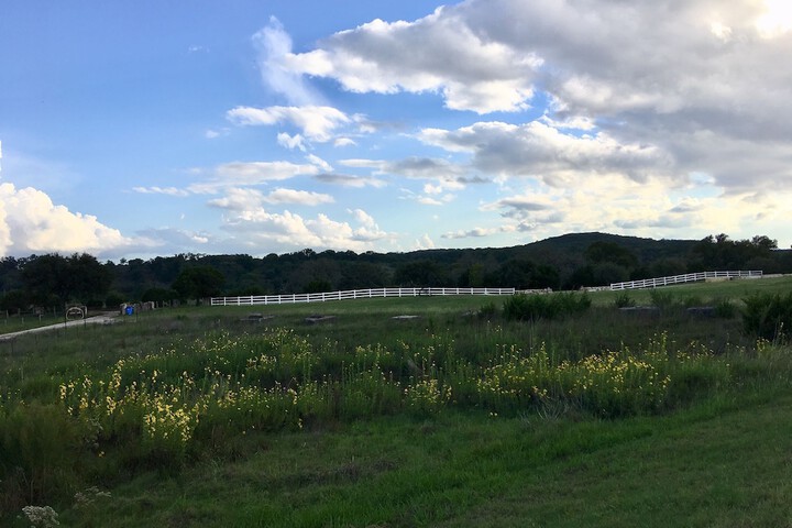 The Alexander at Creek Road