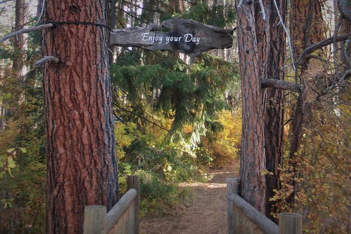 Cold Springs Resort