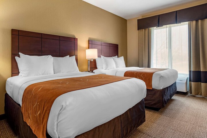 Comfort Suites Airport South