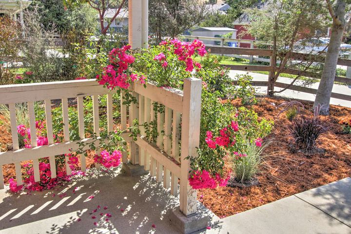Serene Bungalow-style Home in Point Reyes Station!