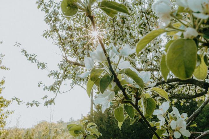 Northumberland Heights Wellness Retreat & Spa