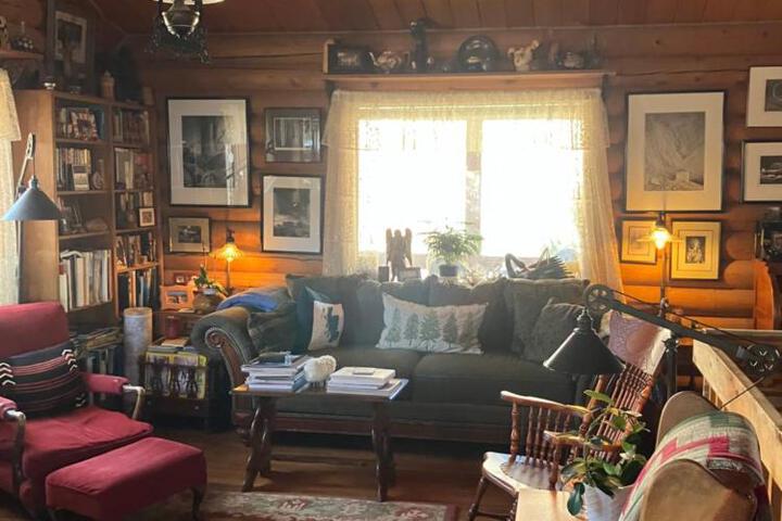 The Canyon Wren