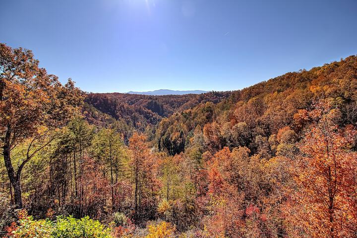 Bearview Heights #244