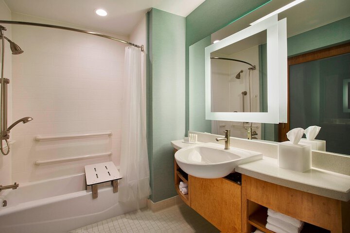 Springhill Suites by Marriott Houston Dwntn / Convention Cntr