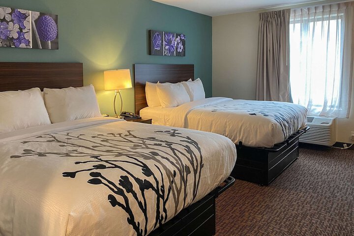 Room 5 of 12