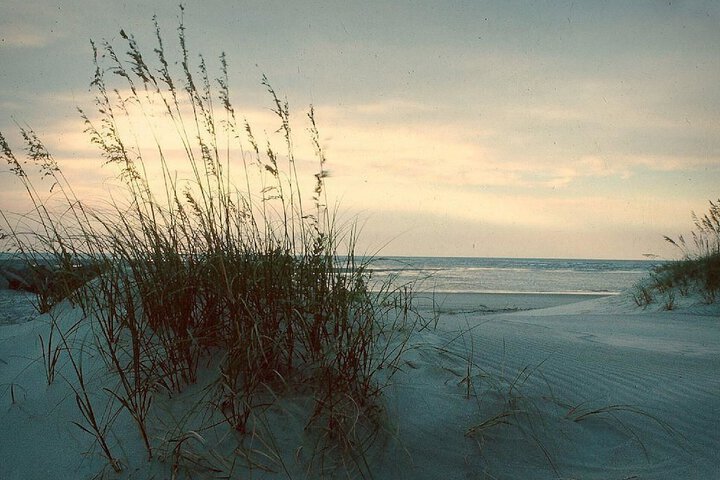 Beach 15 of 19