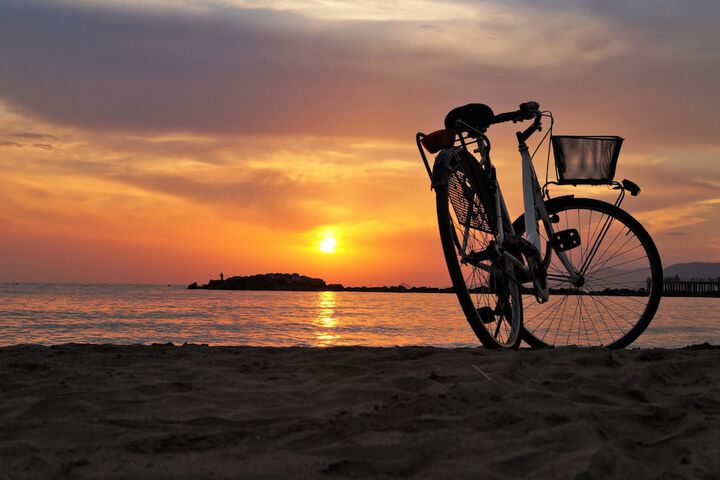 Lime Tree Bay Resort