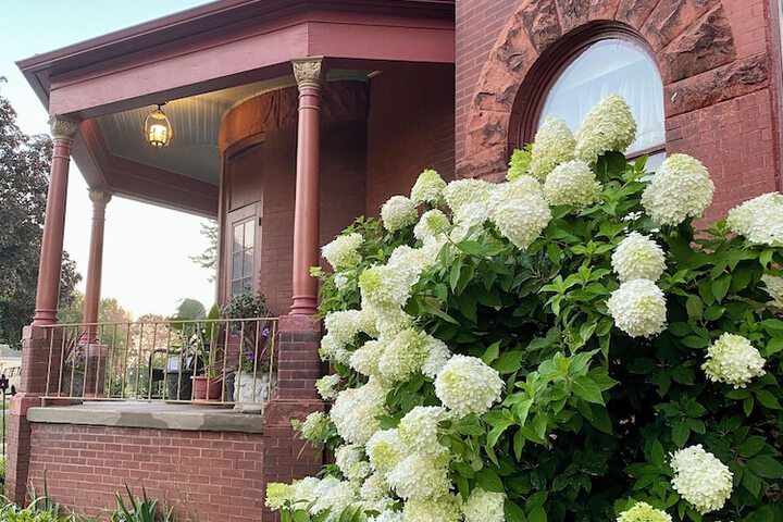 Vineyard Mansion & Carriage House Bed & Breakfast