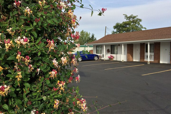 Property Grounds 45 of 47