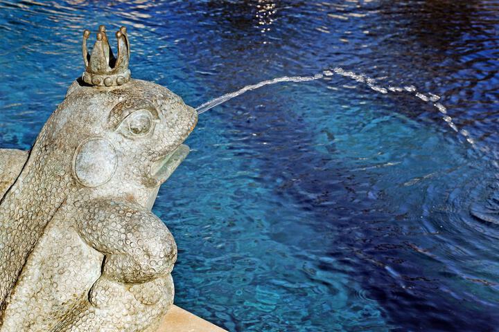 Pool 7 of 31