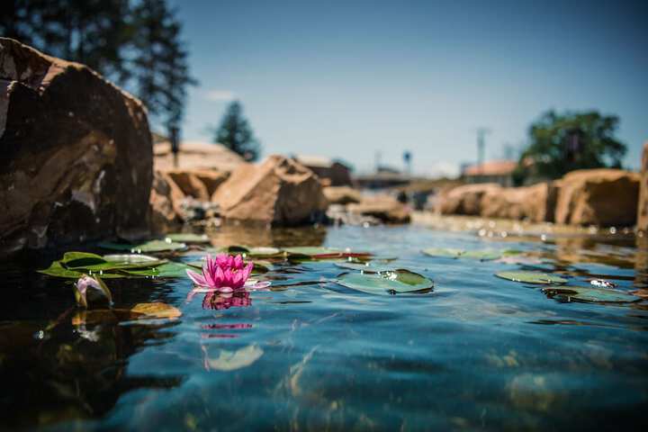 Natura Vue Resort & Boathouse