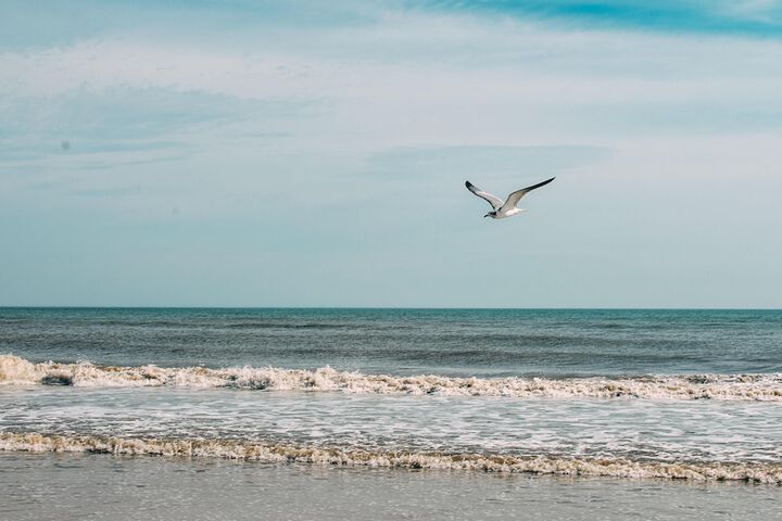 Beach 34 of 35