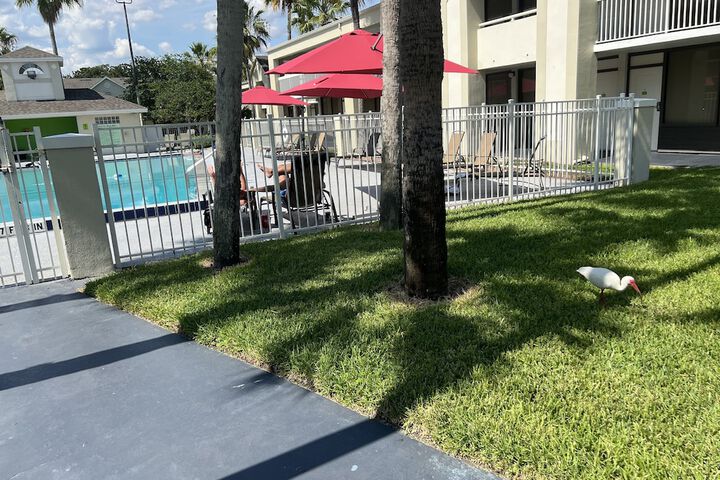 Pool 13 of 123