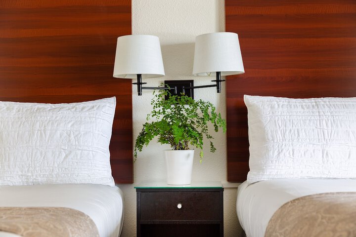 Room 28 of 40