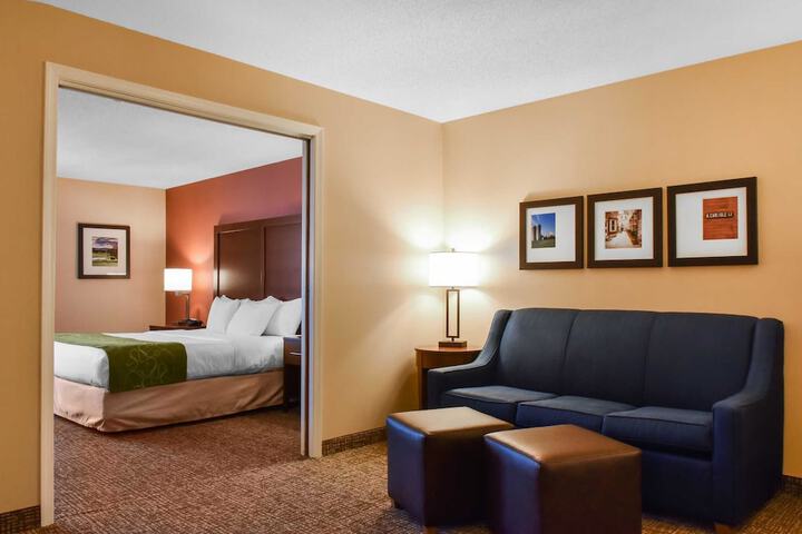 Comfort Suites Downtown Carlisle