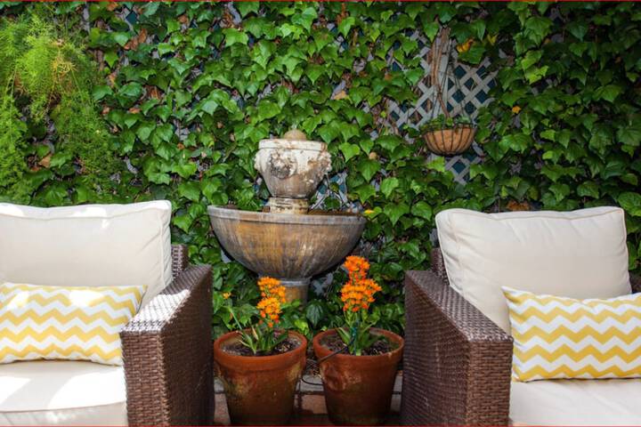 Terrace/Patio 53 of 57