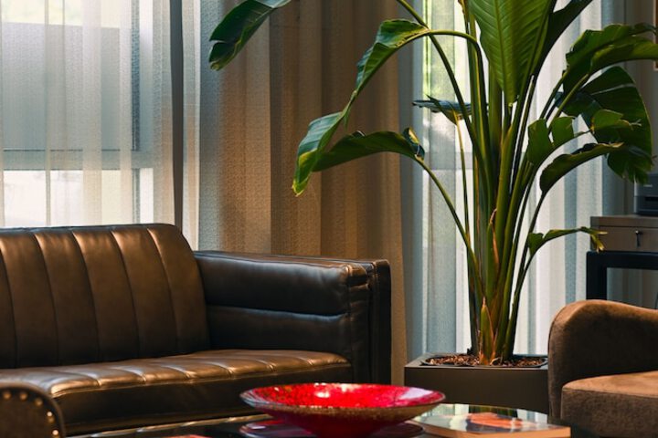 Art House Hotel and Suites