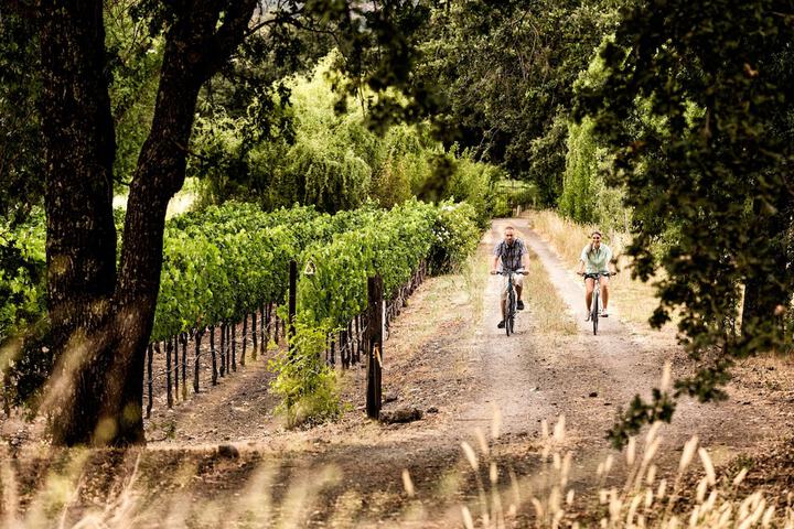 ANDAZ NAPA BY HYATT