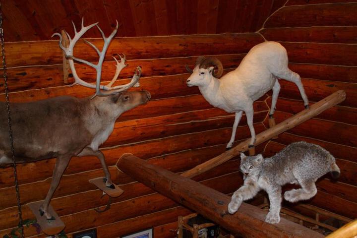 Wise Old Hunter Lodge
