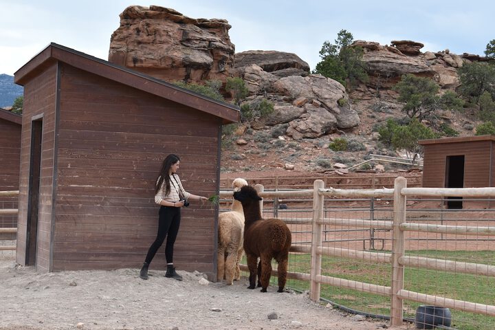 Cougar Ridge Resort