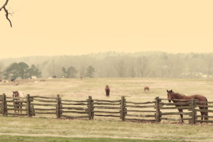 Seventy-four Ranch