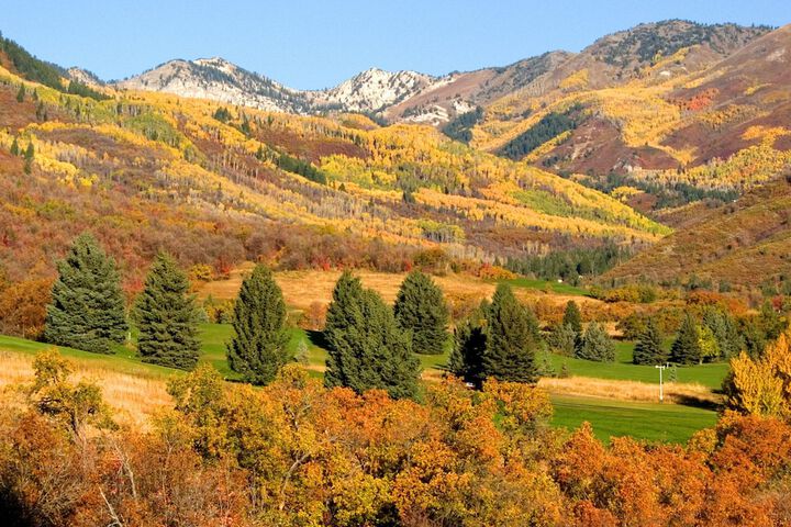 Heber Senator Bed and Breakfast