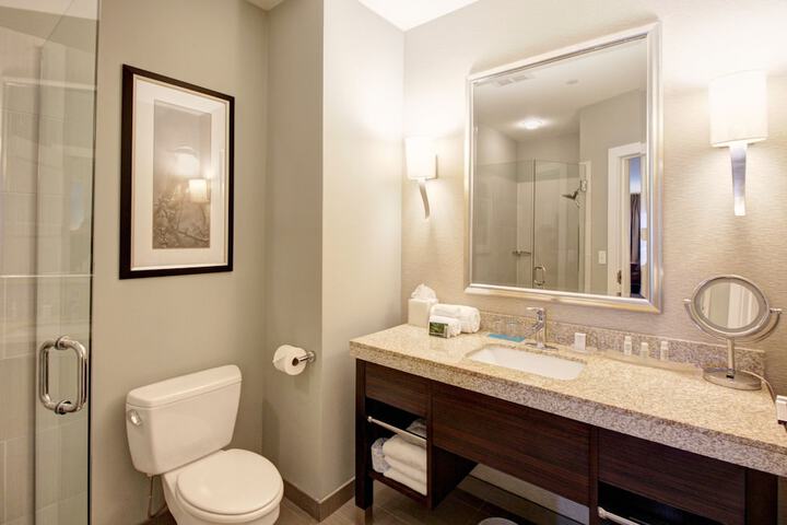 Hotel Indigo WACO - BAYLOR by IHG