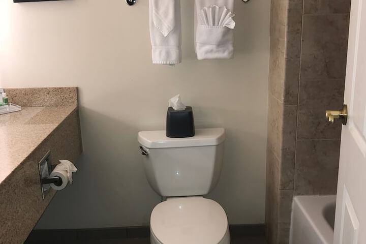 Holiday Inn & Suites Ann Arbor Univ Michigan Area by IHG