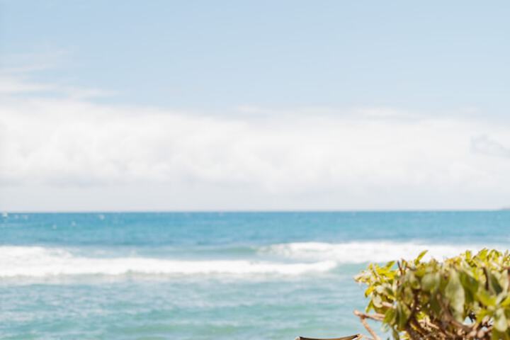 Kauai Shores Hotel
