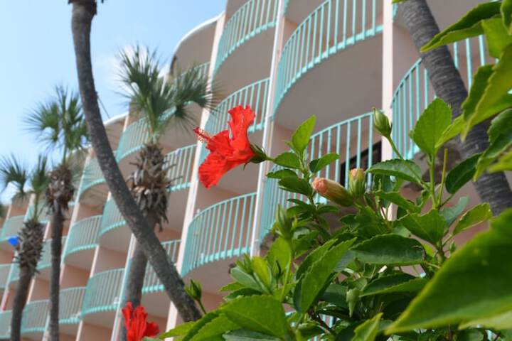Hotel 5 of 34