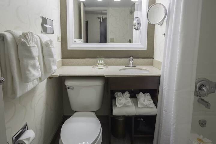 Wyndham Rochester Downtown