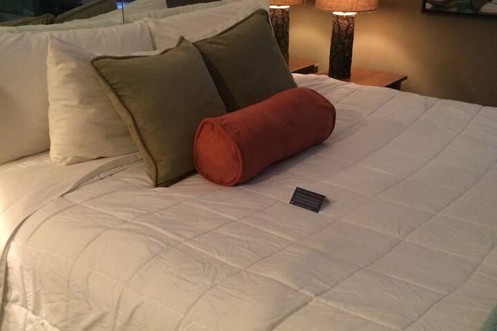 Room 16 of 60